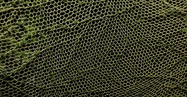 Comment choisir son filet de camouflage pour une invisibilité optimale